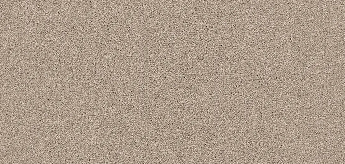 Sussex Range Midhurst Cockle Shell