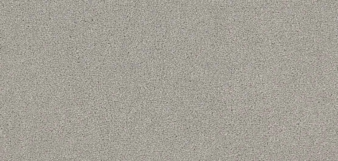 Sussex Range Midhurst Morning Dew