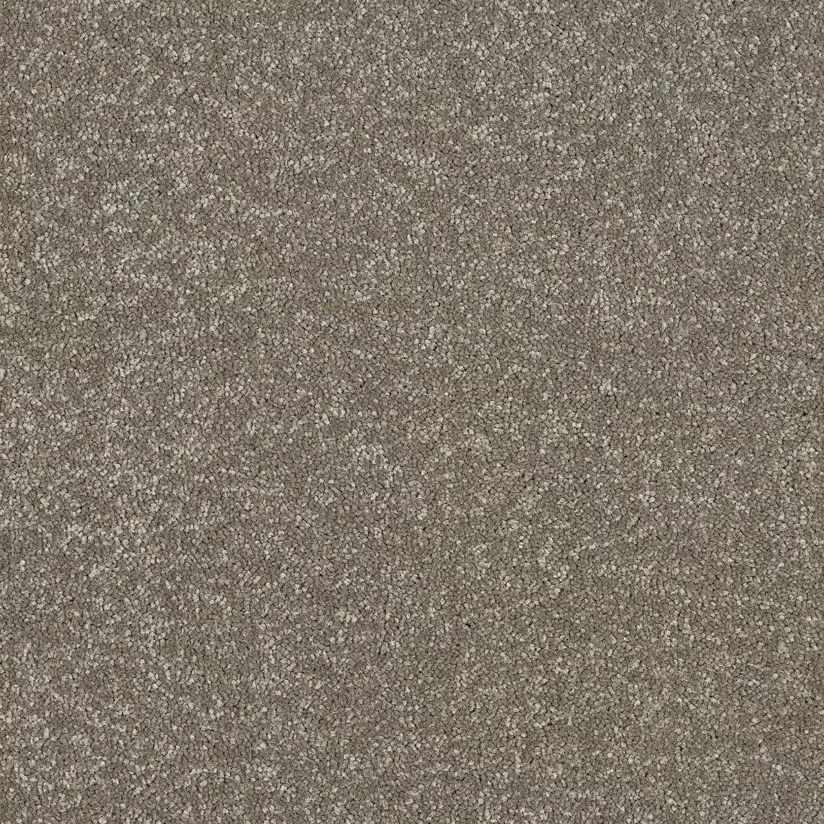 Abingdon Maximus Velvet Crush