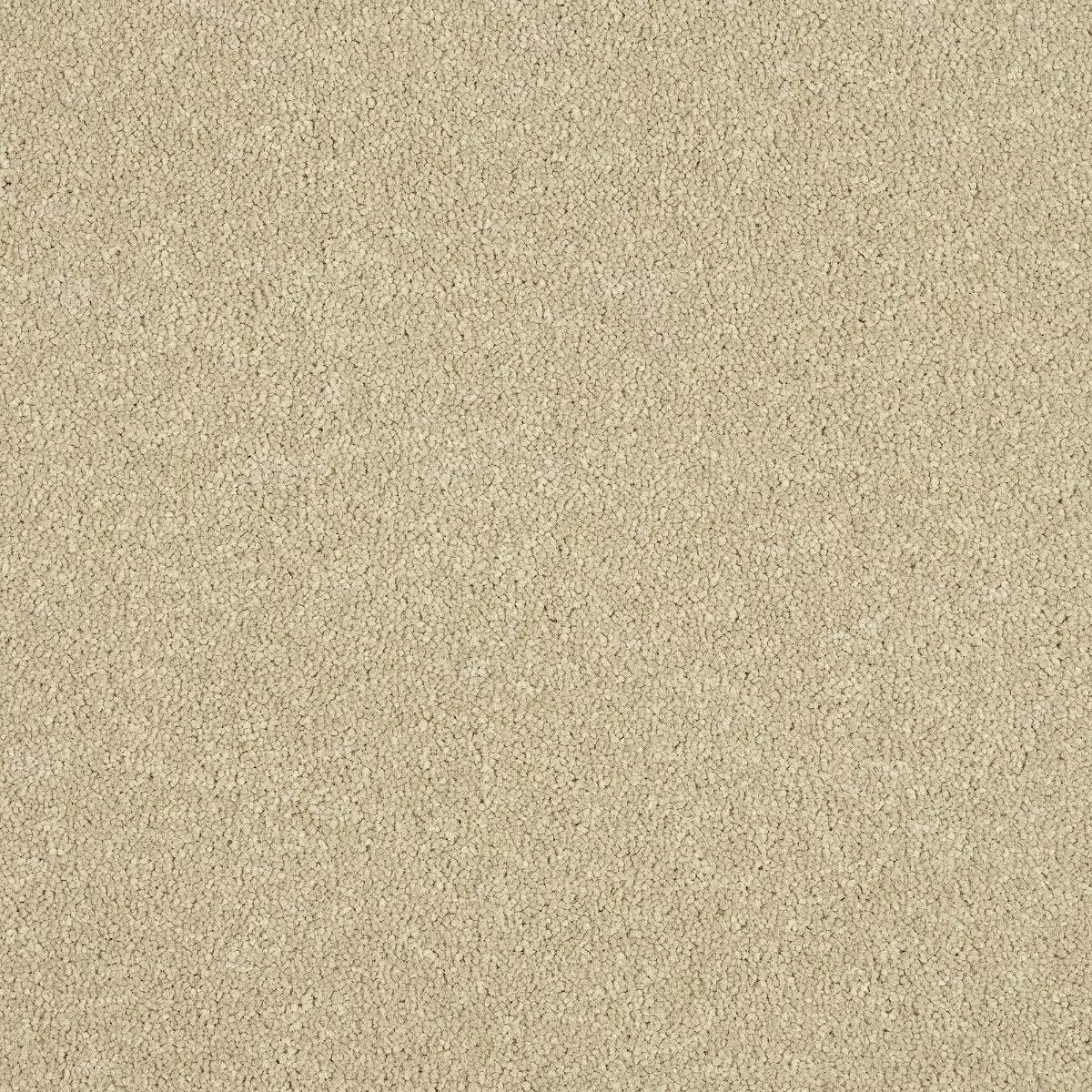 Abingdon Maximus Timeless