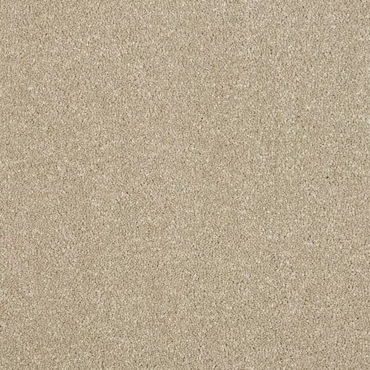 Abingdon Maximus Dark Ecru