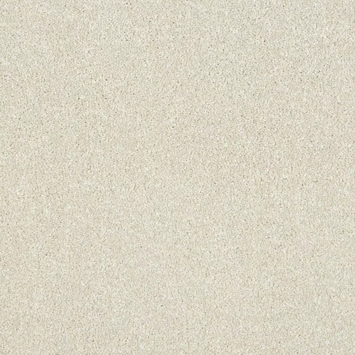 Abingdon Maximus Stone White