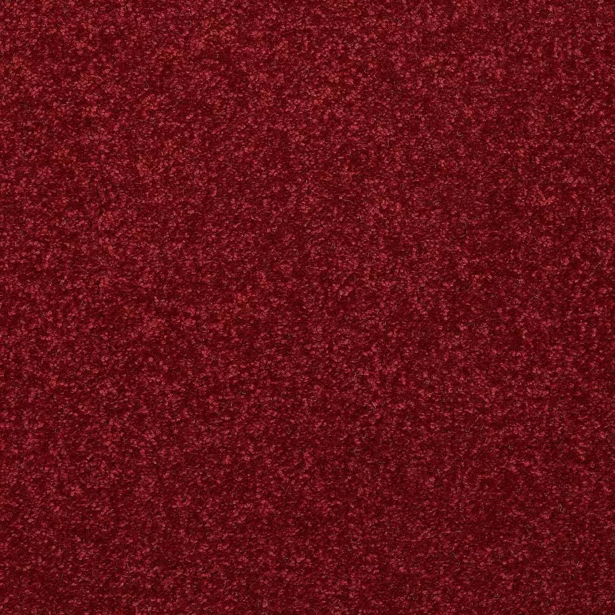 Abingdon Caress Rioja