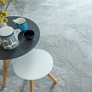 Carpet cleaning guide showing how to lift blood stains without damage